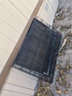 Large Dog Kennel