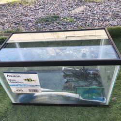 10 Gallon Fish Tank With Supplies