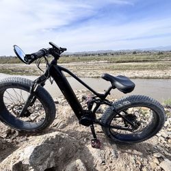 Mountain Bike Style Ebike