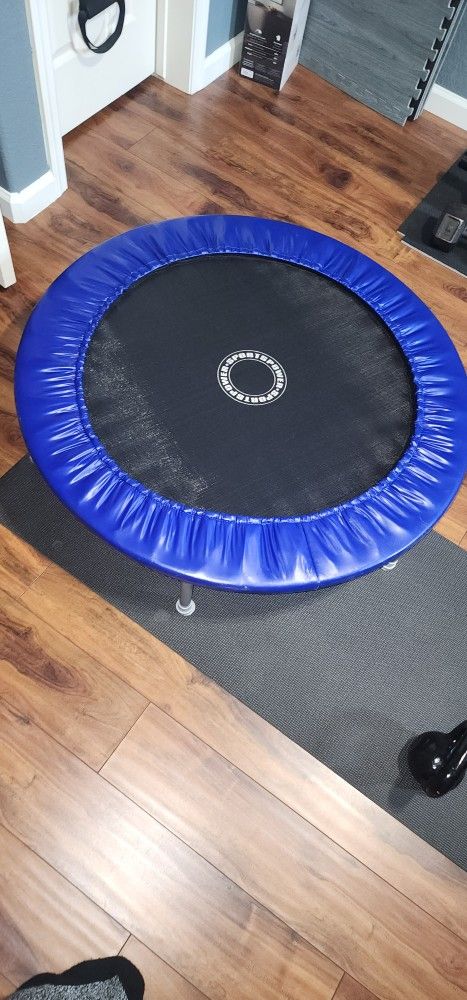 Fitness Trampoline