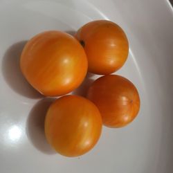 Extremely Rare Organic Apricot Zebra Tomato Seeds! 2025 SEASON EARLY RELEASE! 