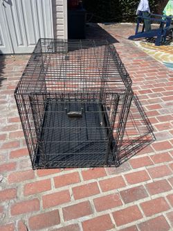 Large Kennel
