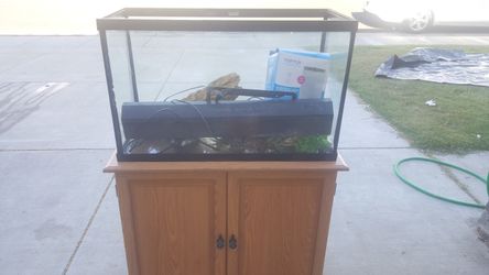 Fish aquarium