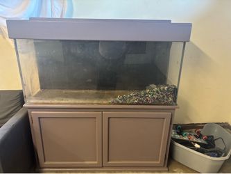Fish tank