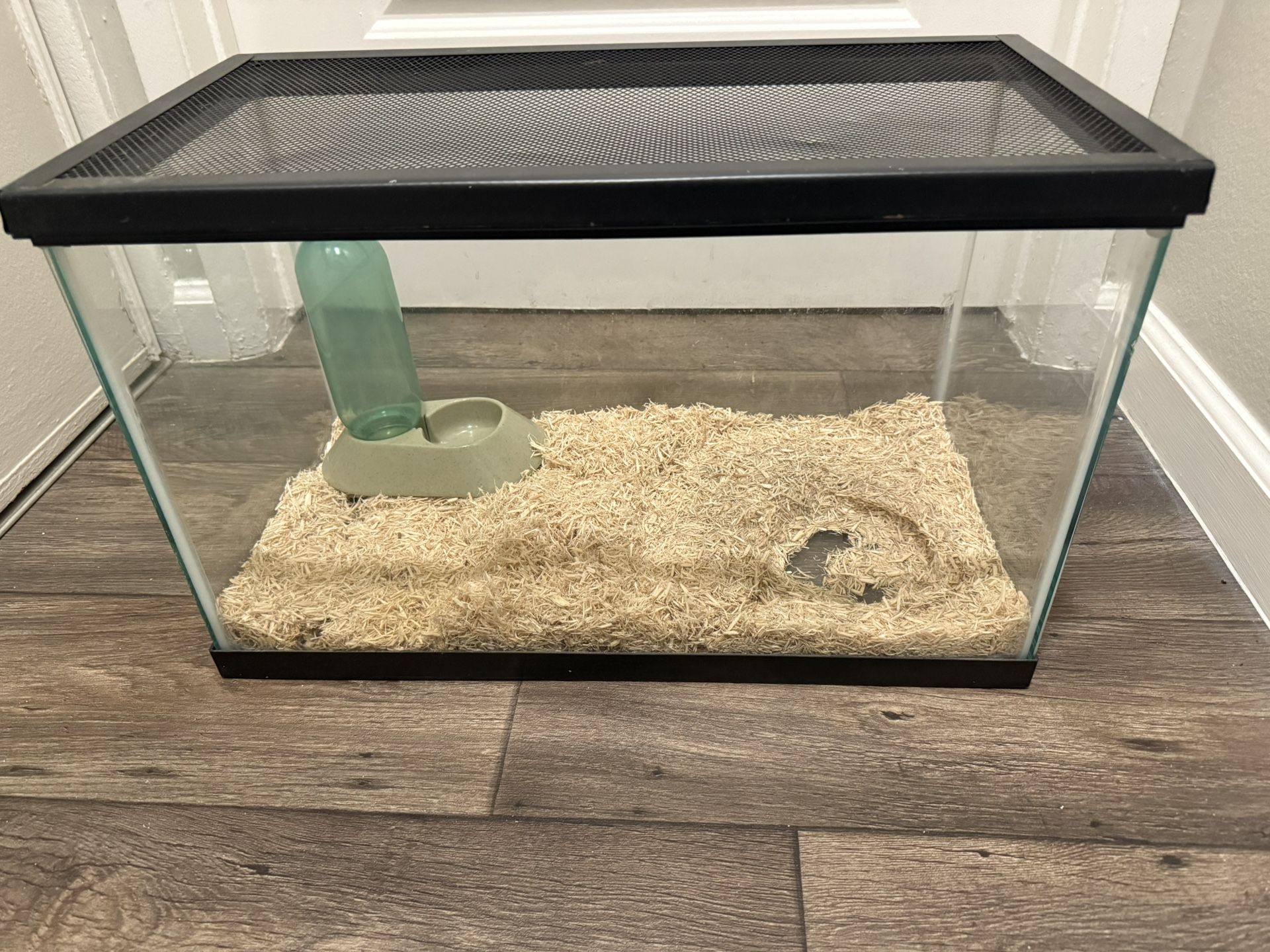 10 Gallon Tank