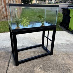 Fish Tank