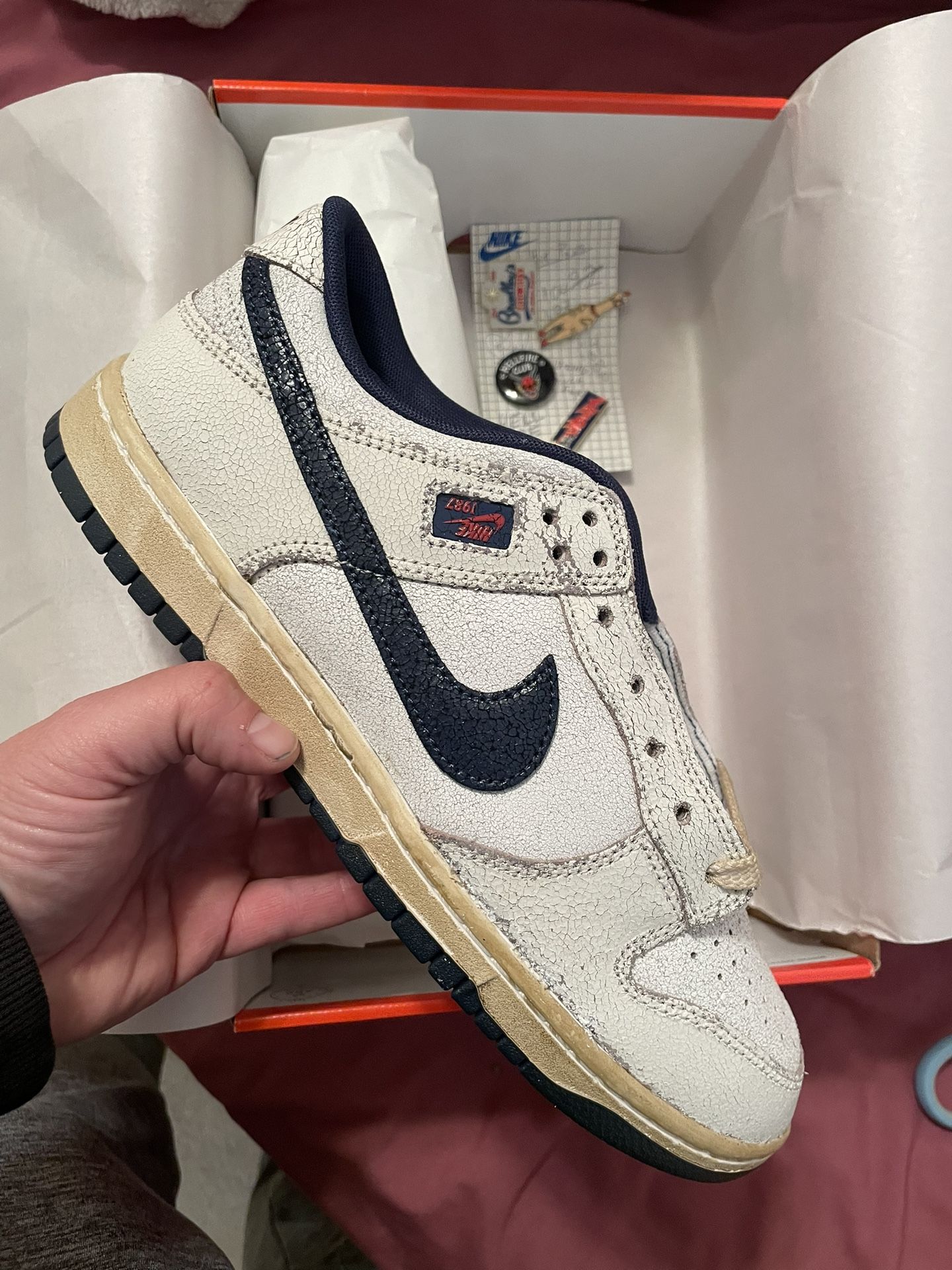 Stranger Things Nike Dunk Sz 10M