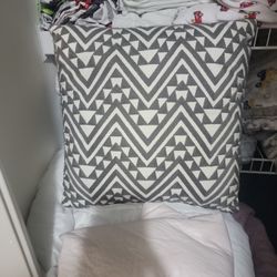2 Throw Pillows 