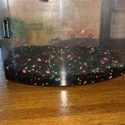 2.5 Gallon Aquarium 