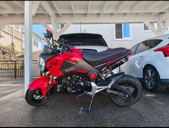 2015 Honda Grom Motorcycle