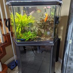 35 Gallon hexagon Aquarium W/ Filter