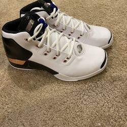 Air Jordan 17 Copper