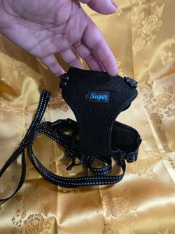 Cat Harness & Leash Set