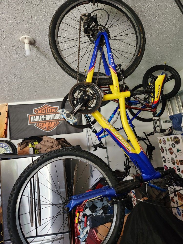 24 Inch Gary Fisher Bike
