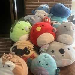 Large & Medium Squishmallows 