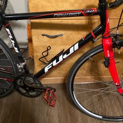 2010 Fuji Newest 3.0 