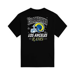 Super Bowl Champion T Shirt