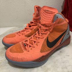 🔥 Nike Zoom Hyperdunk 2011 “Blake Griffin” – Size 10.5 Used 🔥