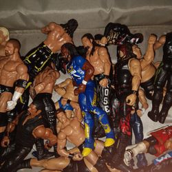 Small WWE Action Figure Collection 