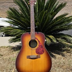 Electric Acoustic Yamaha F335 TBS