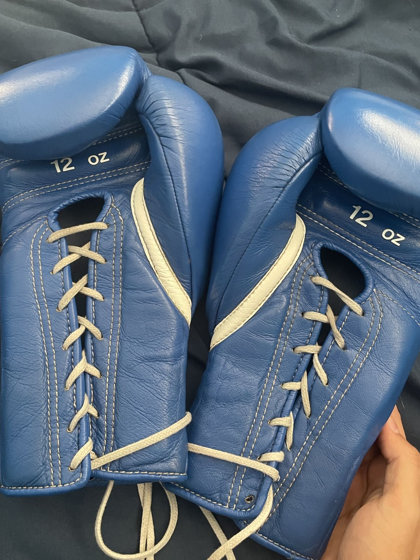 Winning Boxing Gloves