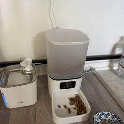 Auto Cat Feeder