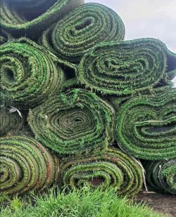 Recycled Artificial grass Used ** Alpine ♻️ 🏡