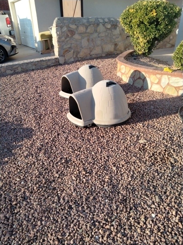 Casas Para Perro