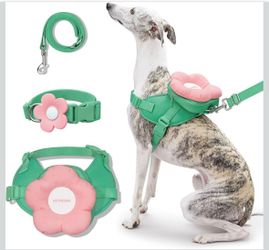 NEW Flora Dog Harness, Leash and Collar Set