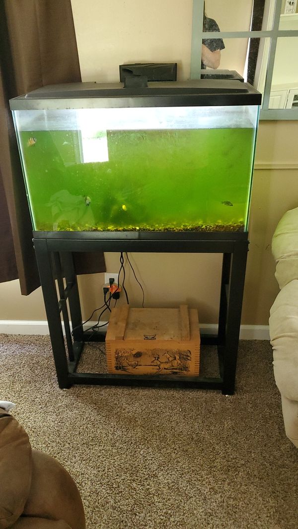 30 gallon fish tank with or without fish for Sale in Callahan, FL - OfferUp