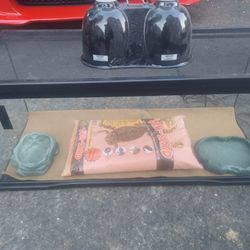 Reptile Tank 30 Inches Long 1 Foot Wide And 13 Inches Tall 