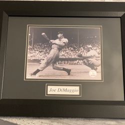 Rare But Productive    Photo . Back In The Day .