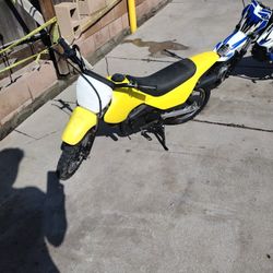 Suzuki Jr