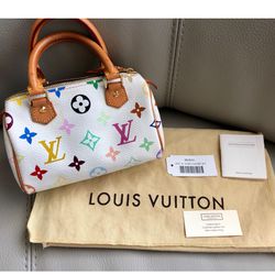 Louis Vuitton Multicolor Mini Speedy