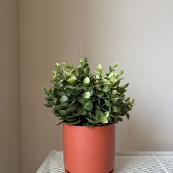 Artificial Plant & Ceramic Pot