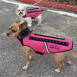 Coyote Vest