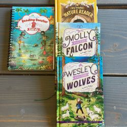 The good and the beautiful curriculum reading booster, B and books