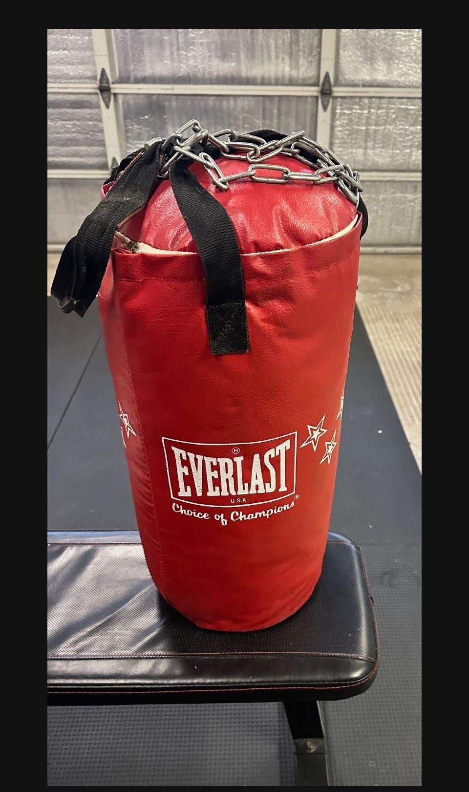 25lb EVERLAST Punching Bag (small)
