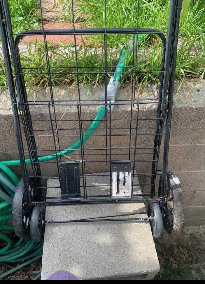 Carritos para el mandado