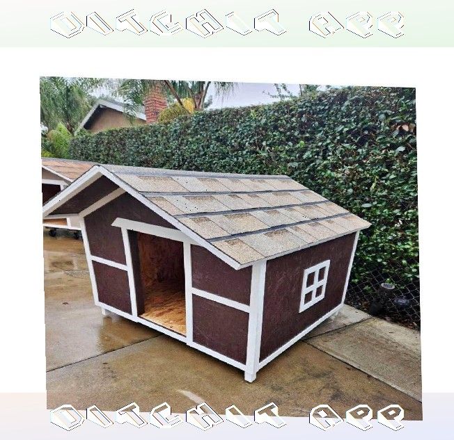 Outdoor Pet Houses - Reliable Homes for Cheerful Pets woman role