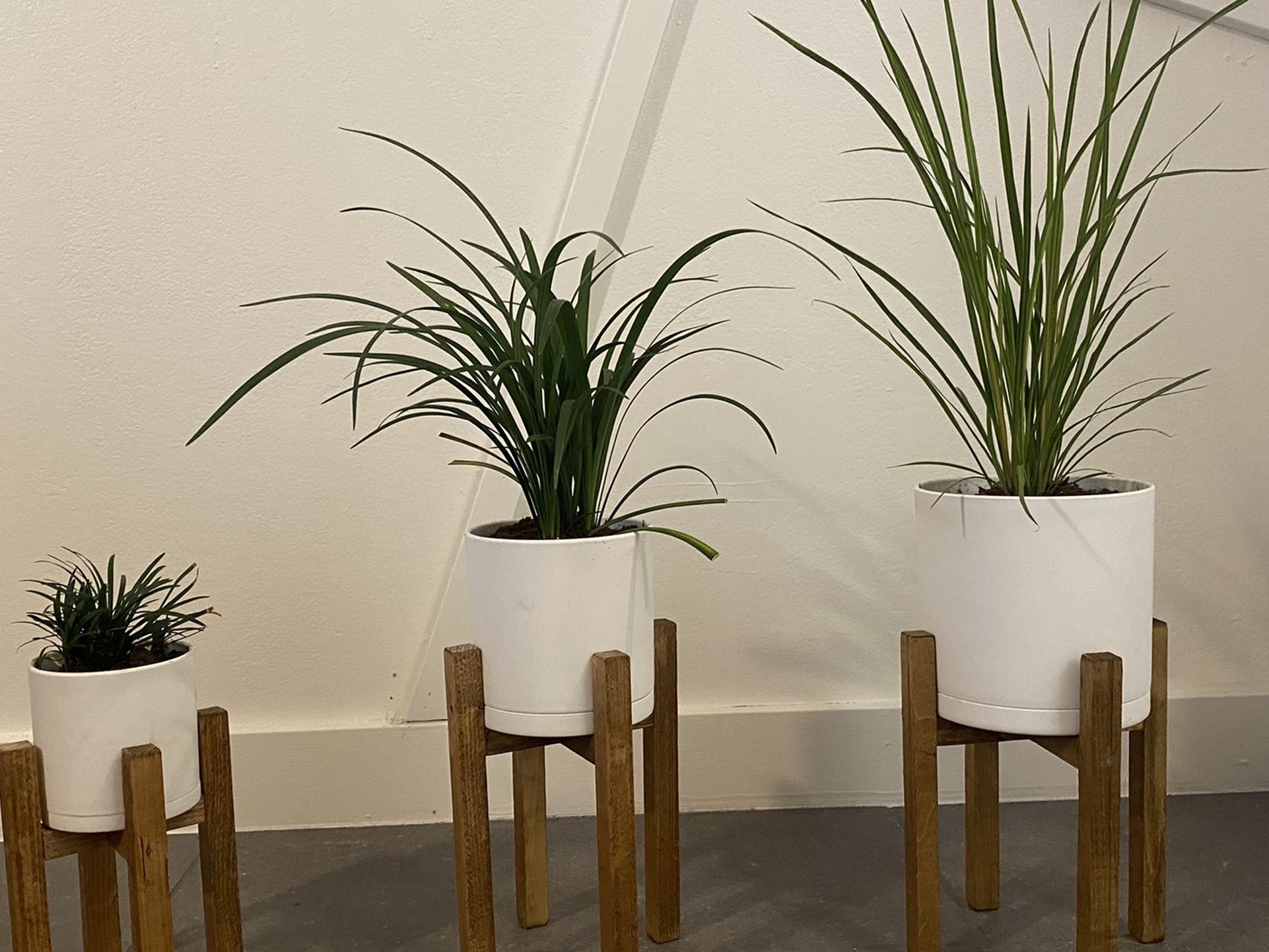 House Plants Planters and Stands Set Of 3