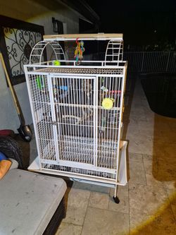 Bird cage