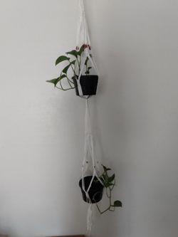 Macrame Plant Hanger Holder