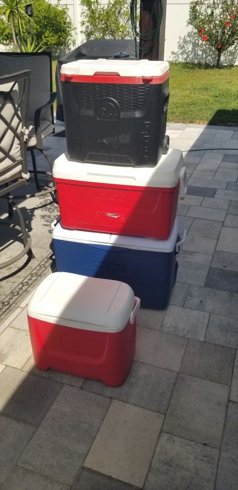 igloo And ,rubbermaid Cooler