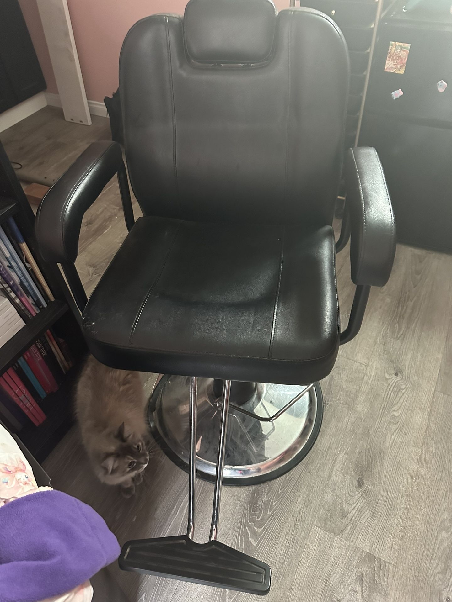 Barber / Hairdresser/ Styling Chair