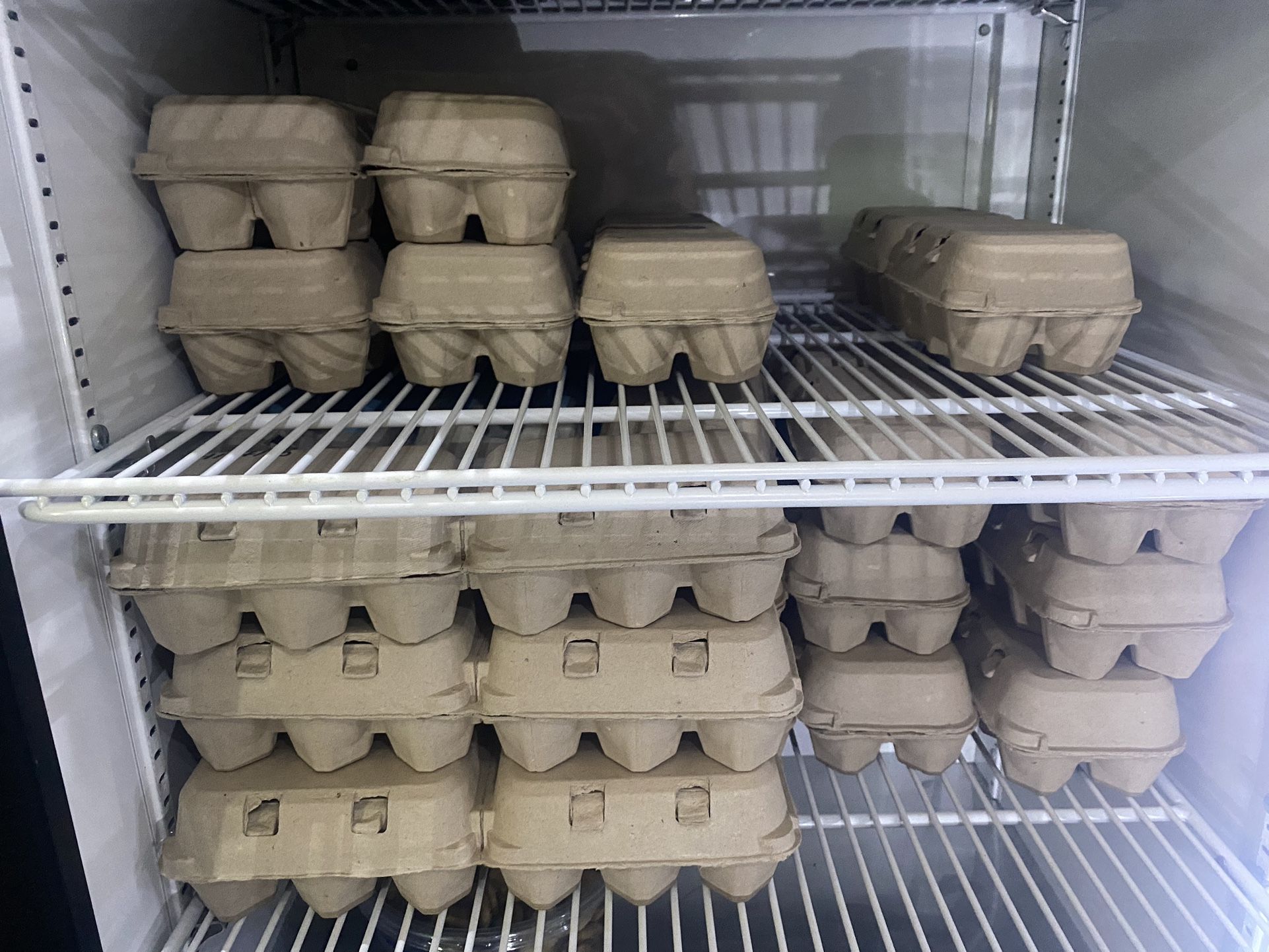 Organic Fresh Eggs