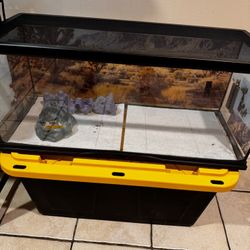 Reptile Tanks 
