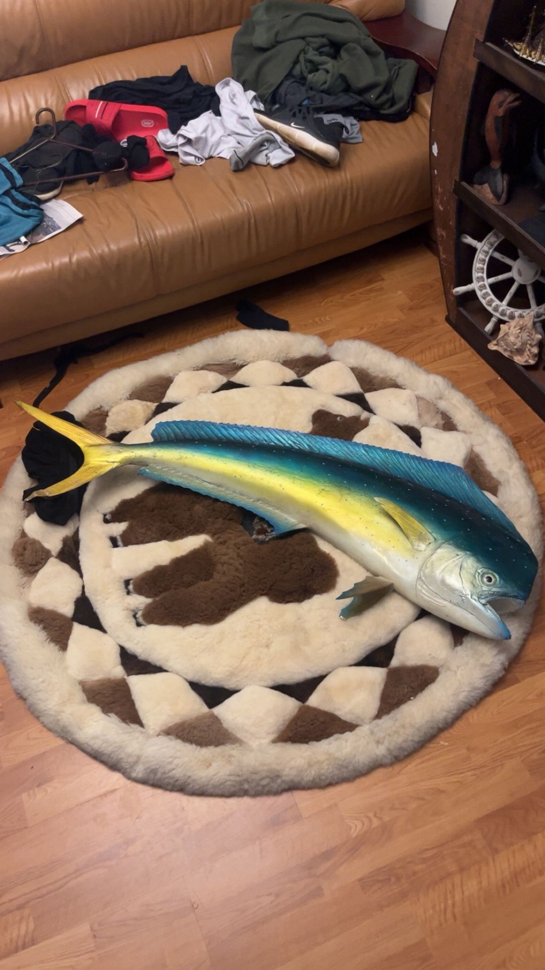Beautiful Mahi fish Mount wall decor