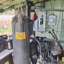 Boxing Stand With Speed Bag And 100lb Bag Also Double end Bag