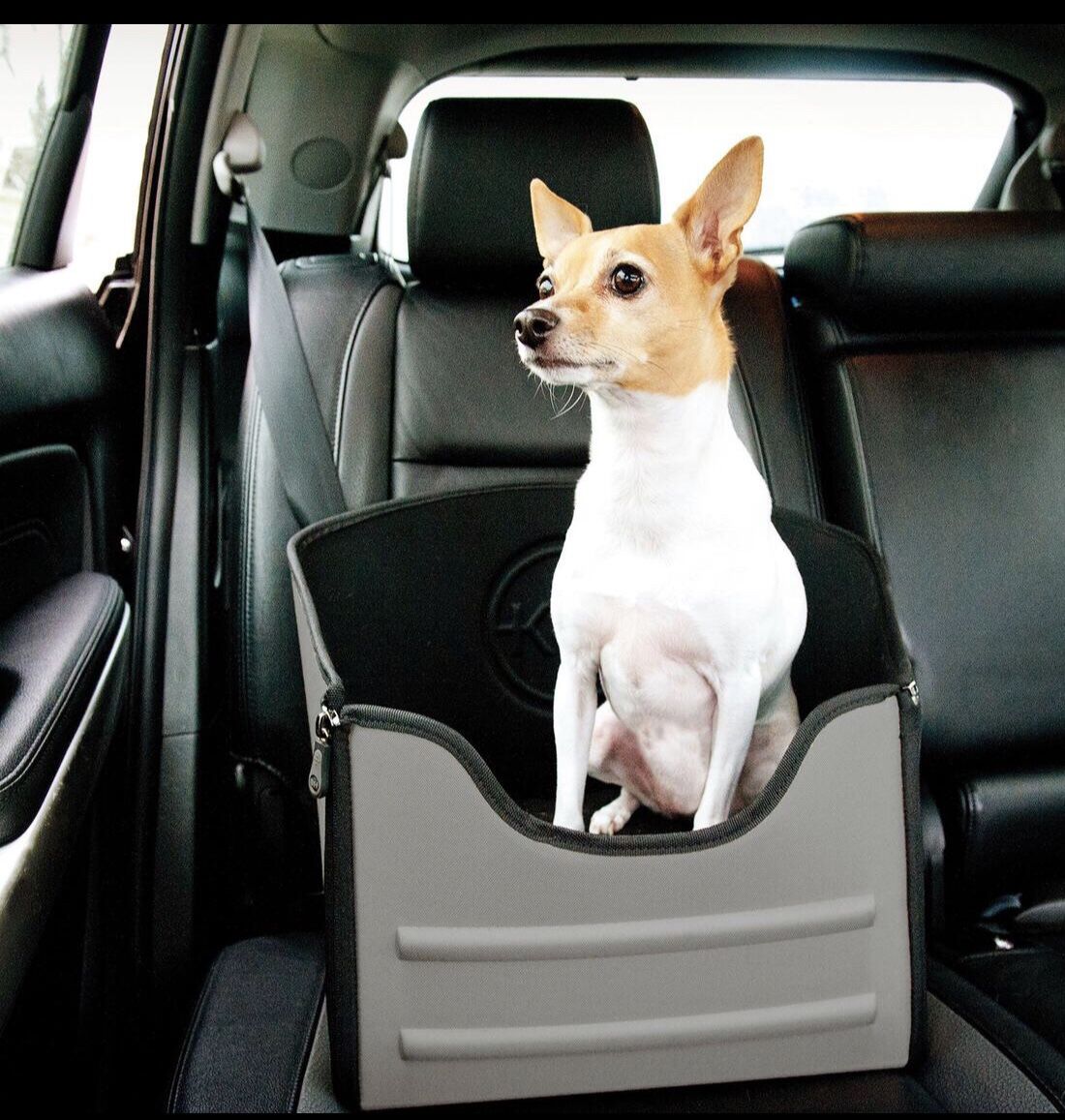 Pet Car Seat